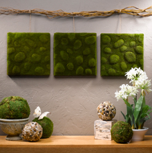 Modern Wall  on Moss Art Wall Decor   Favecrafts Com